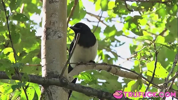 Summer Camp Haley Reed, Kyler Quinn